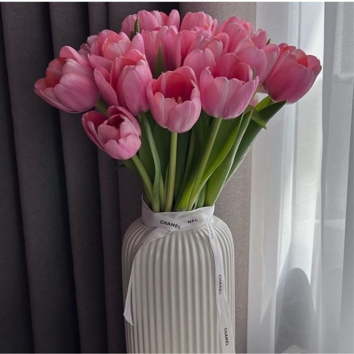 Mẹo chọn hoa Tulip đẹp